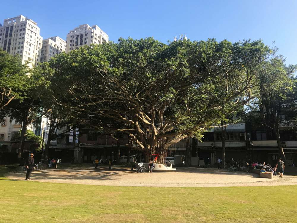 長和公園│新竹市│北區│小資爸親子旅遊團