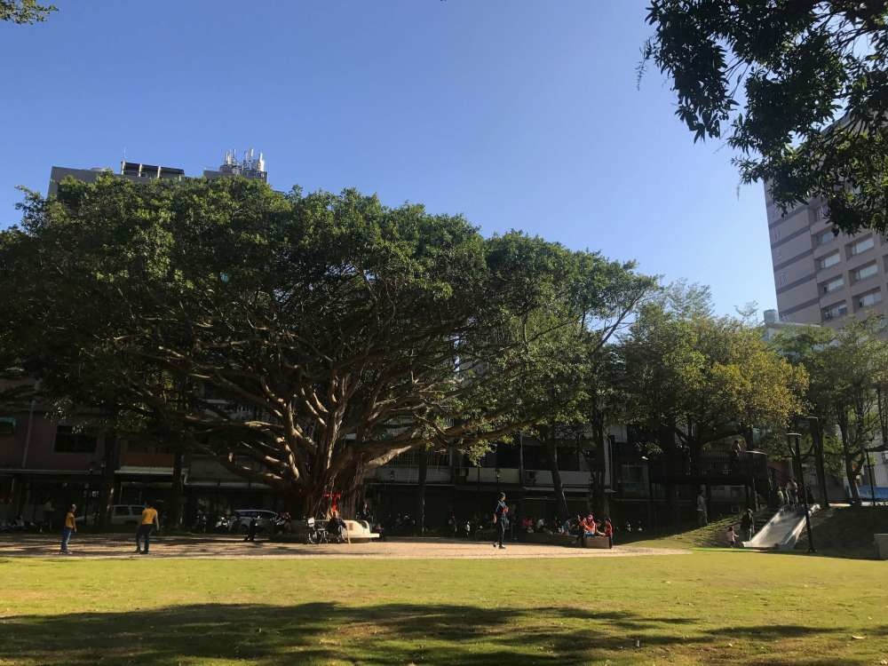 長和公園│新竹市│北區│小資爸親子旅遊團