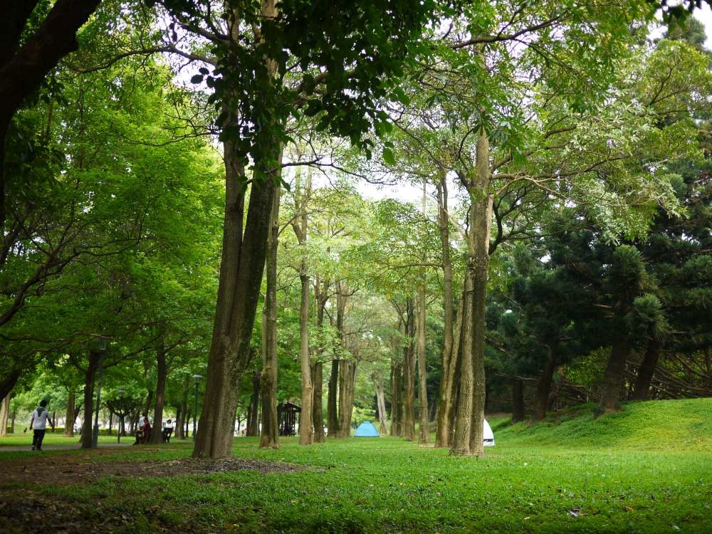 埔頂_18-1000.jpg 埔頂公園│桃園市│大溪區│小資爸親子旅遊團