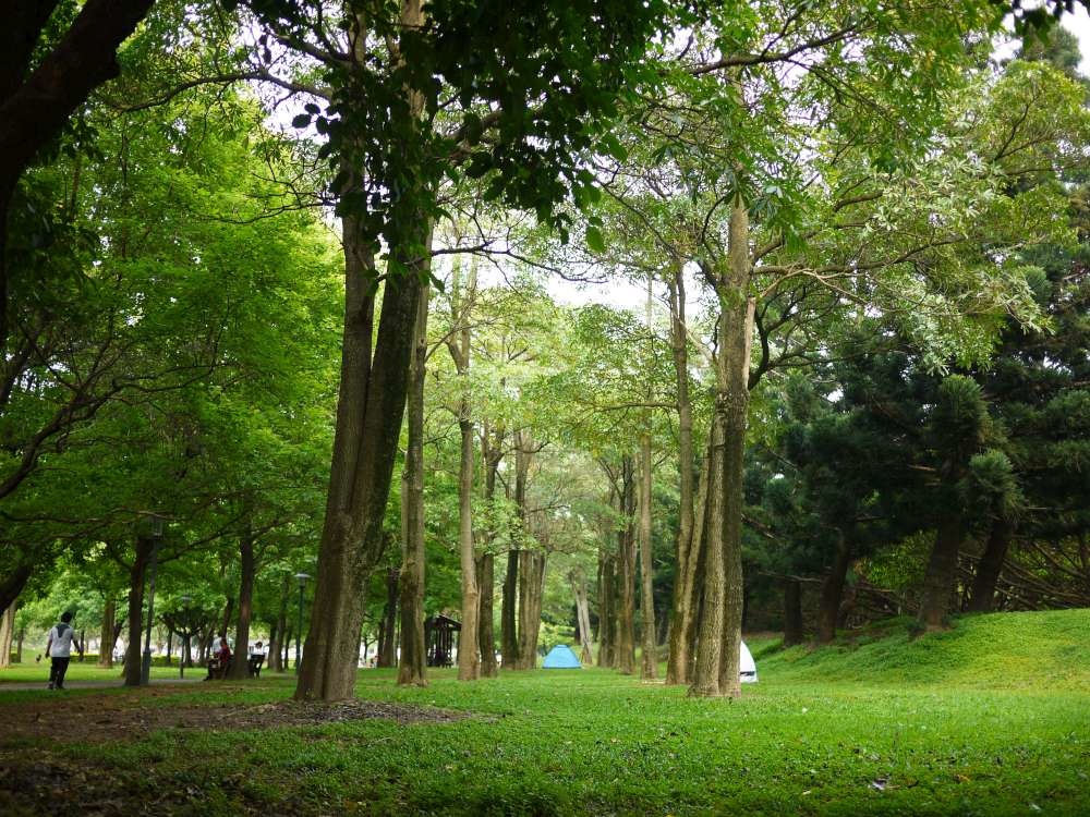 埔頂公園│桃園市│大溪區│小資爸親子旅遊團