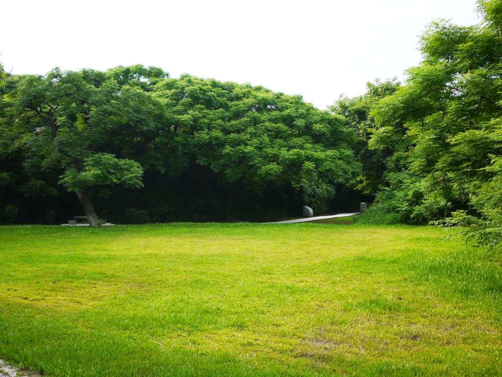 白沙岬燈塔_17-1000.jpg 白沙岬燈塔│桃園市│觀音區│小資爸親子旅遊團