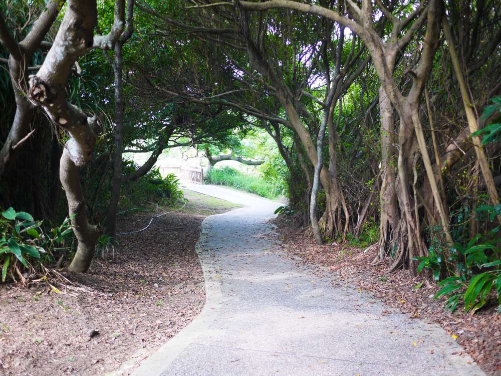 白沙岬燈塔_16-1000.jpg 白沙岬燈塔│桃園市│觀音區│小資爸親子旅遊團