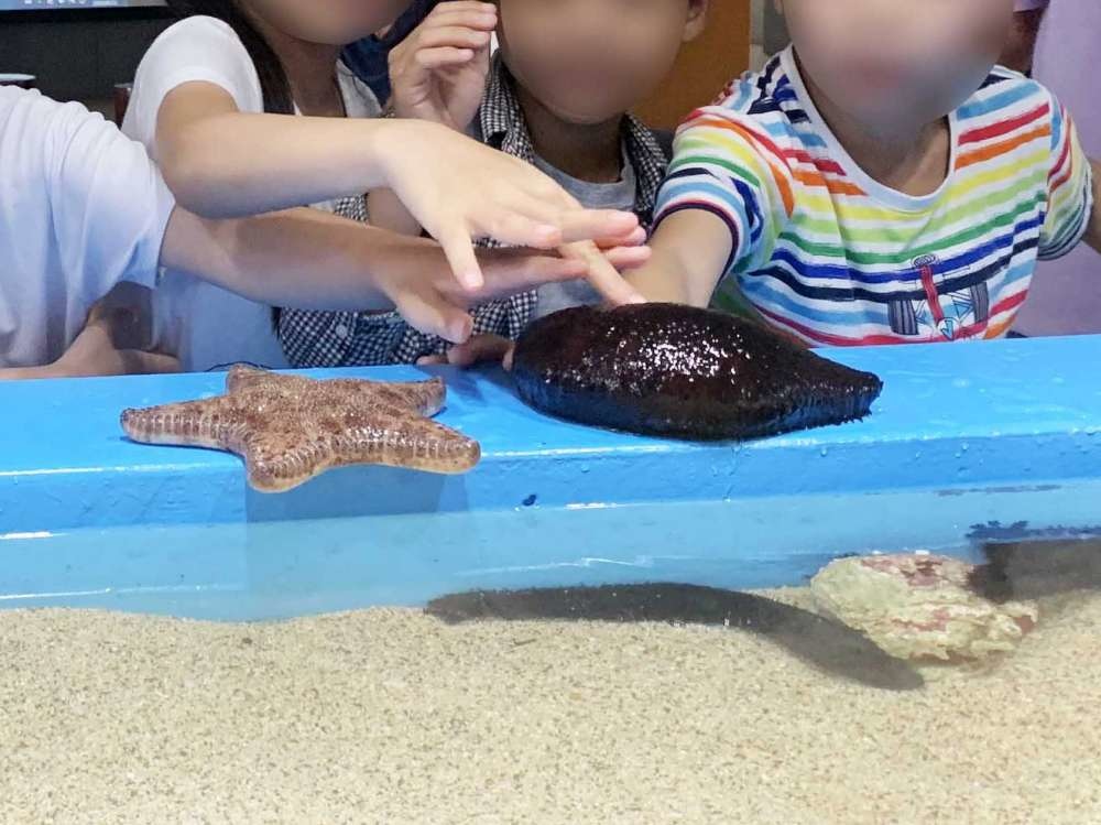 澎湖縣水產種苗繁殖場_16-1000.jpg 水產種苗繁殖場│澎湖縣│小資爸親子旅遊團
