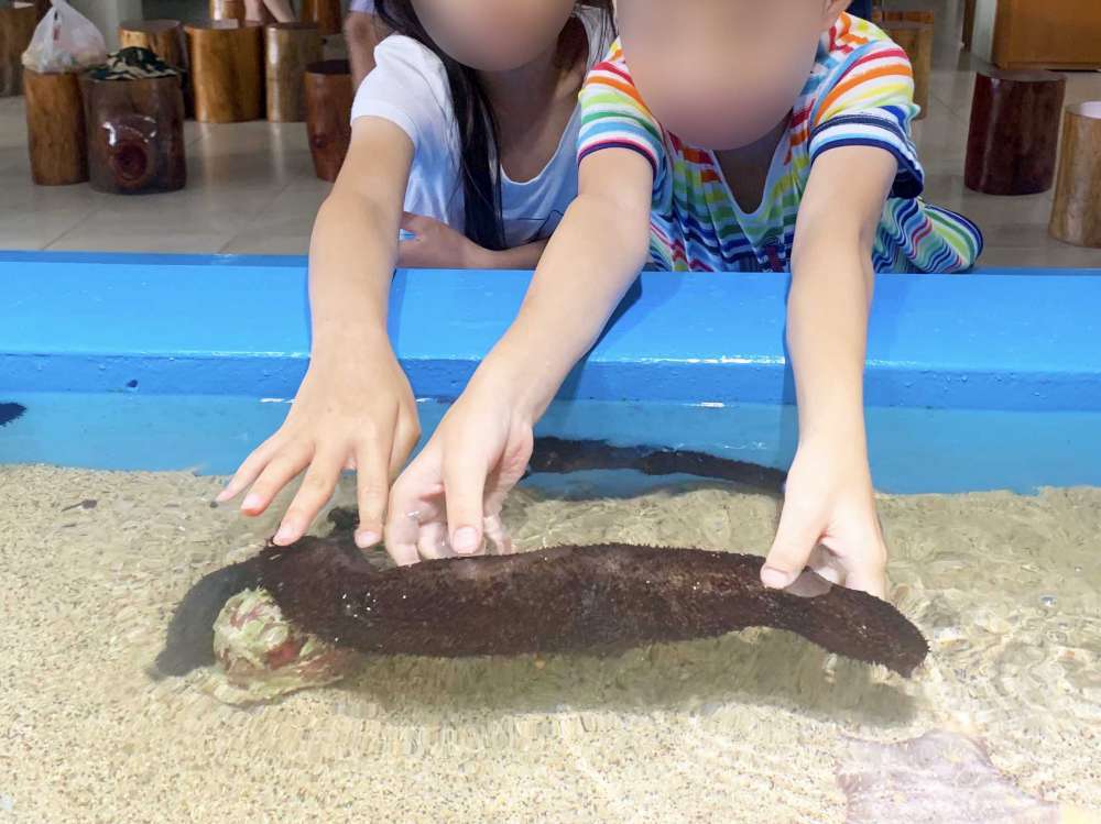 澎湖縣水產種苗繁殖場_12-1000.jpg 水產種苗繁殖場│澎湖縣│小資爸親子旅遊團