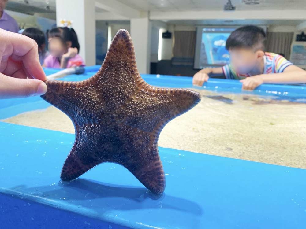 澎湖縣水產種苗繁殖場_14-1000.jpg 水產種苗繁殖場│澎湖縣│小資爸親子旅遊團