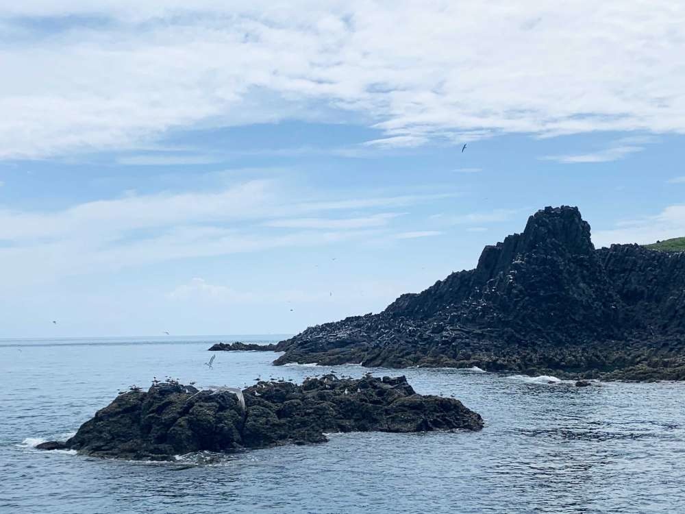 澎湖東海│跳島一日遊│小資爸親子旅遊團