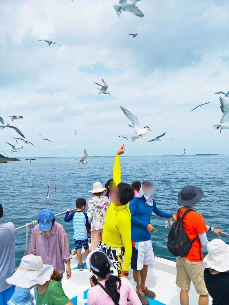 澎湖東海│跳島一日遊│小資爸親子旅遊團