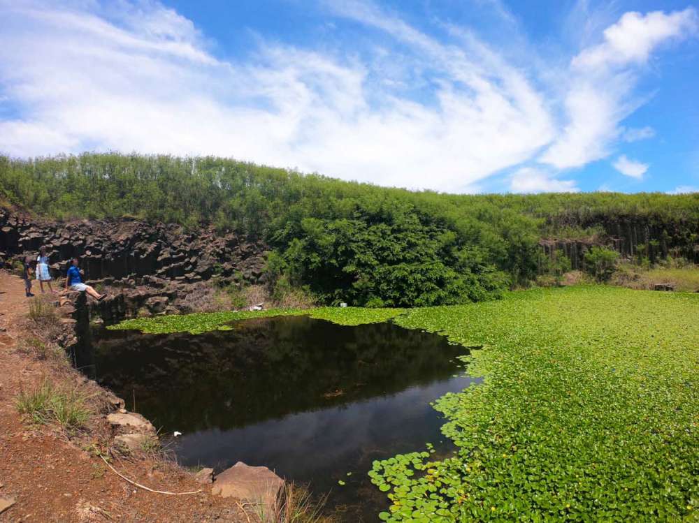 池東大菓葉玄武岩_11-1000.jpg