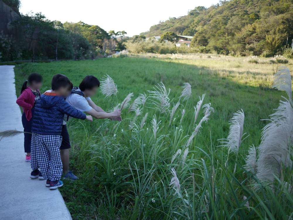 秀才登山步道│桃園市│楊梅區│小資爸親子旅遊團