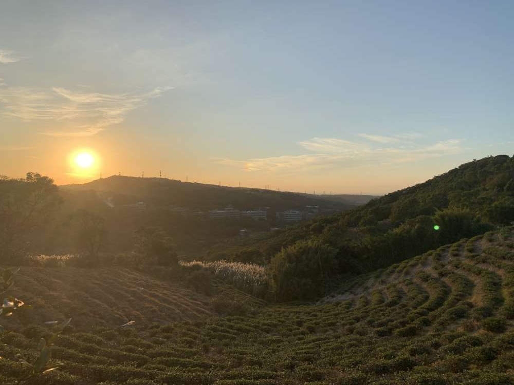 【桃園楊梅步道推薦】楊梅秀才登山步道_親子輕鬆走!盡賞茶園風