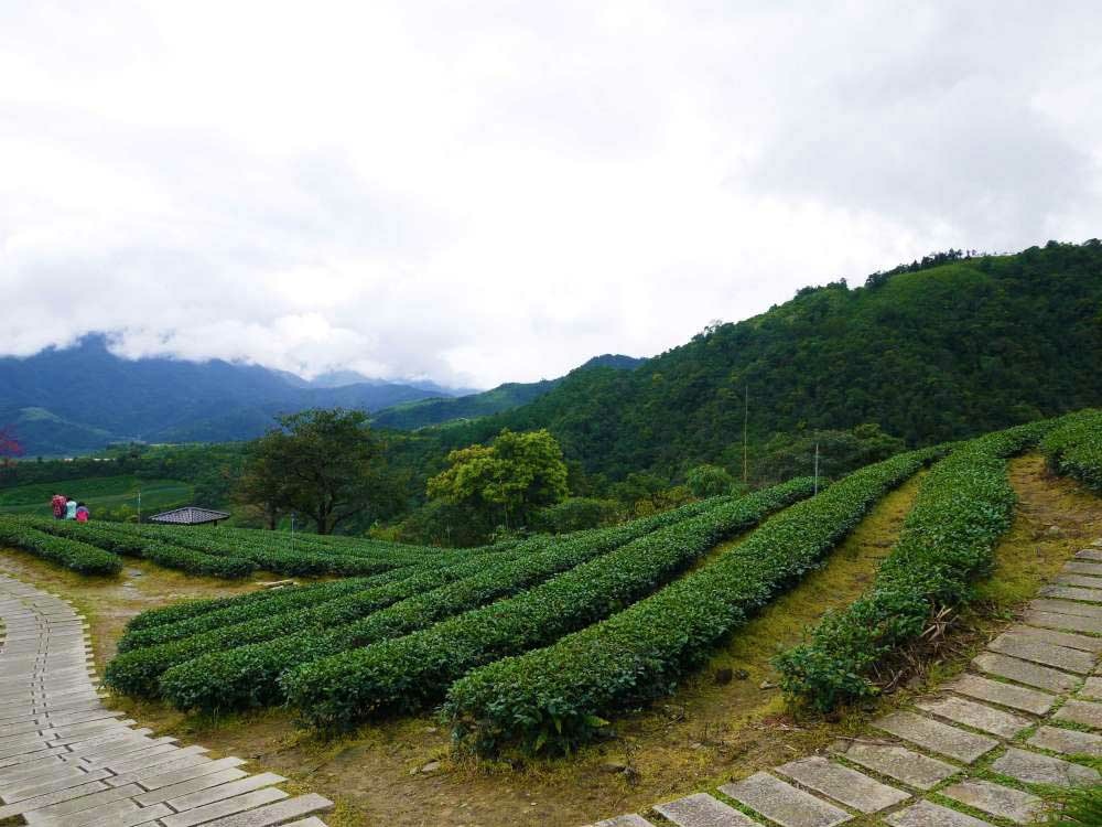 親子旅遊