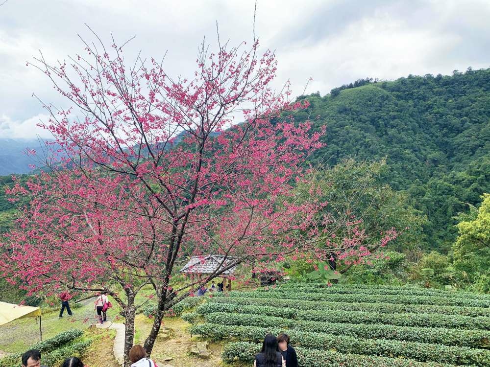 親子旅遊