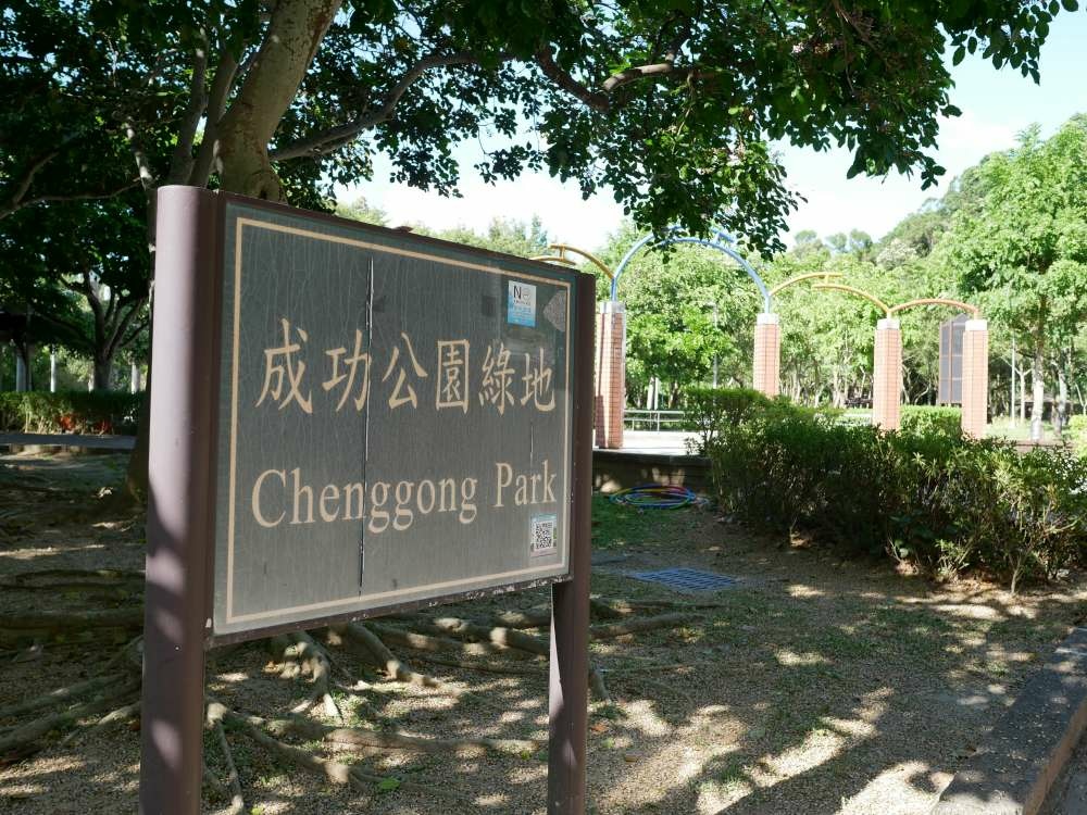 台北內湖特色公園_成功公園綠地_不蓋你！滑下來只要3秒鐘~小