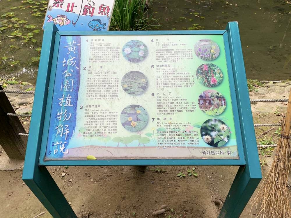 黃城公園│新北市│新莊區│小資爸親子旅遊團