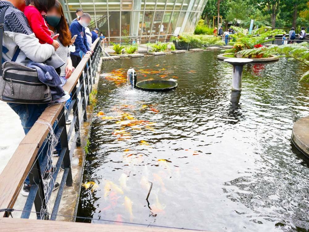 原生應用植物園│台東縣│卑南鄉│小資爸親子旅遊團