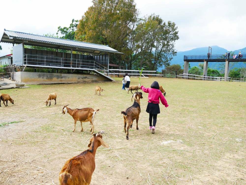 原生應用植物園_14-1000.jpg