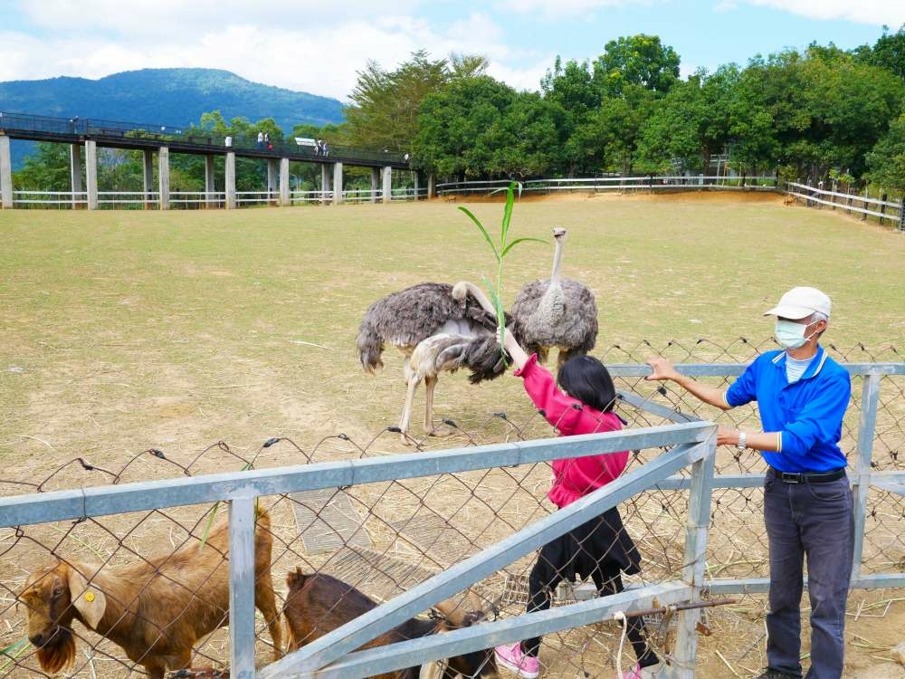 原生應用植物園│台東縣│卑南鄉│小資爸親子旅遊團