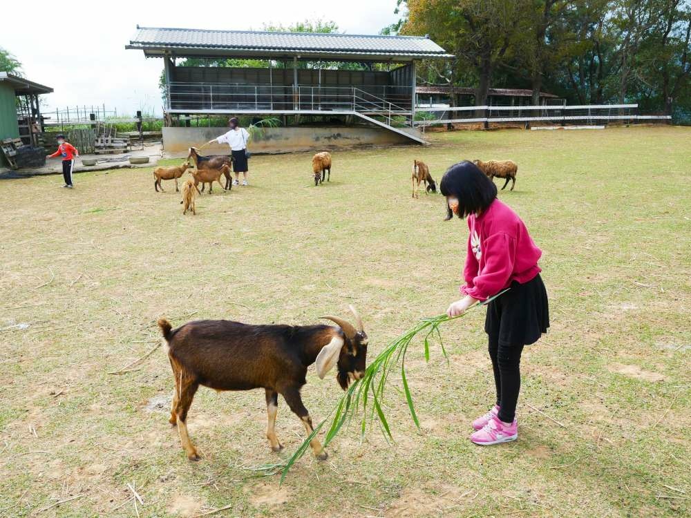 原生應用植物園_15-1000.jpg