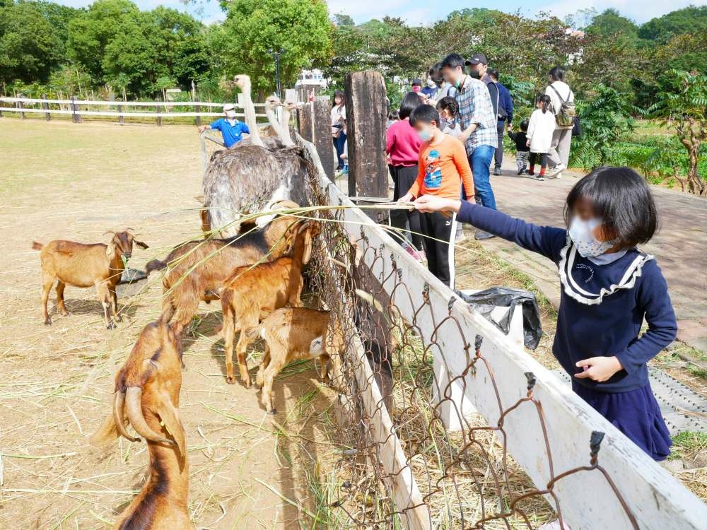 原生應用植物園│台東縣│卑南鄉│小資爸親子旅遊團