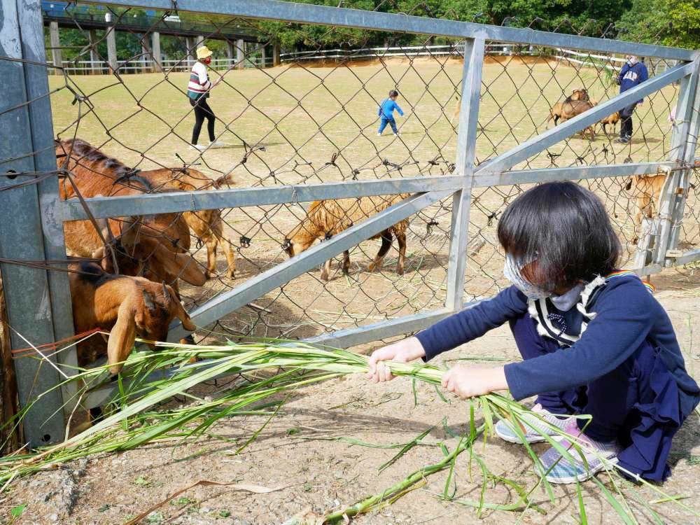 原生應用植物園_19-1000.jpg