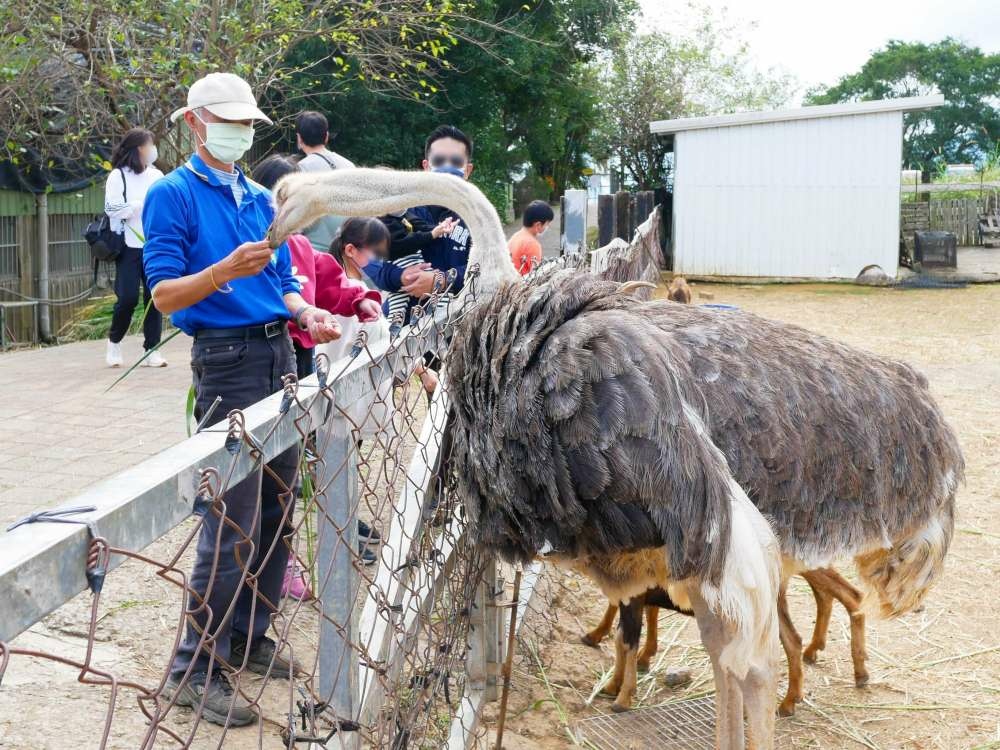 原生應用植物園│台東縣│卑南鄉│小資爸親子旅遊團