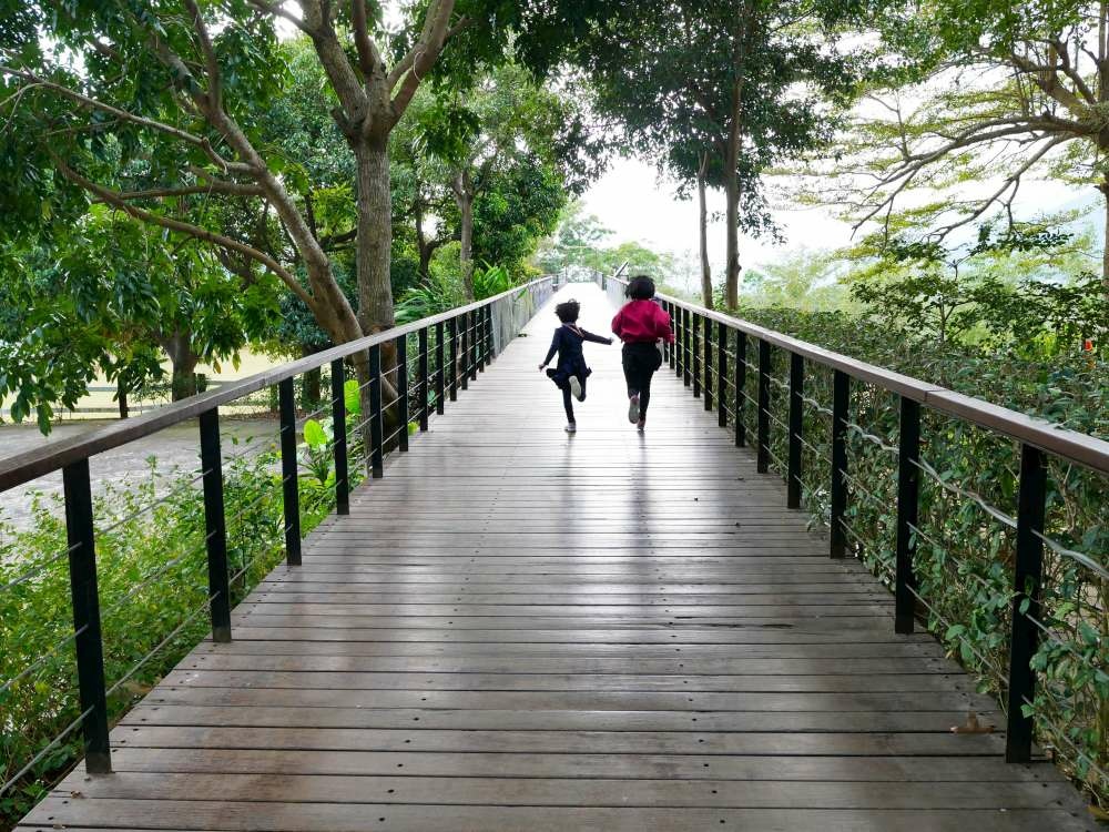 原生應用植物園│台東縣│卑南鄉│小資爸親子旅遊團