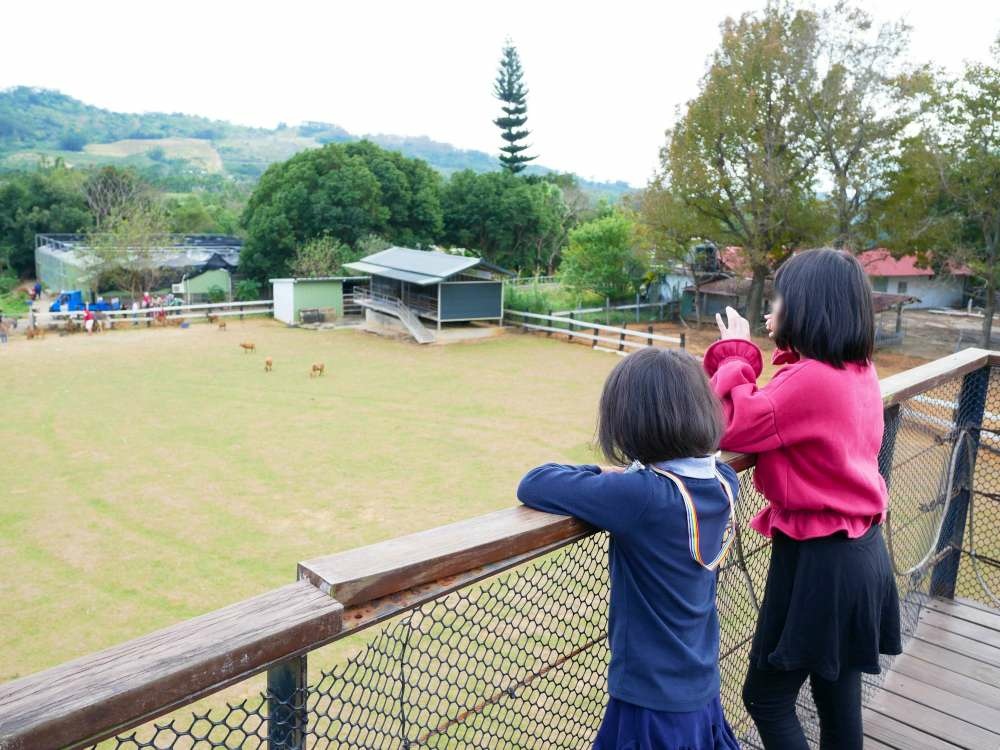 原生應用植物園│台東縣│卑南鄉│小資爸親子旅遊團