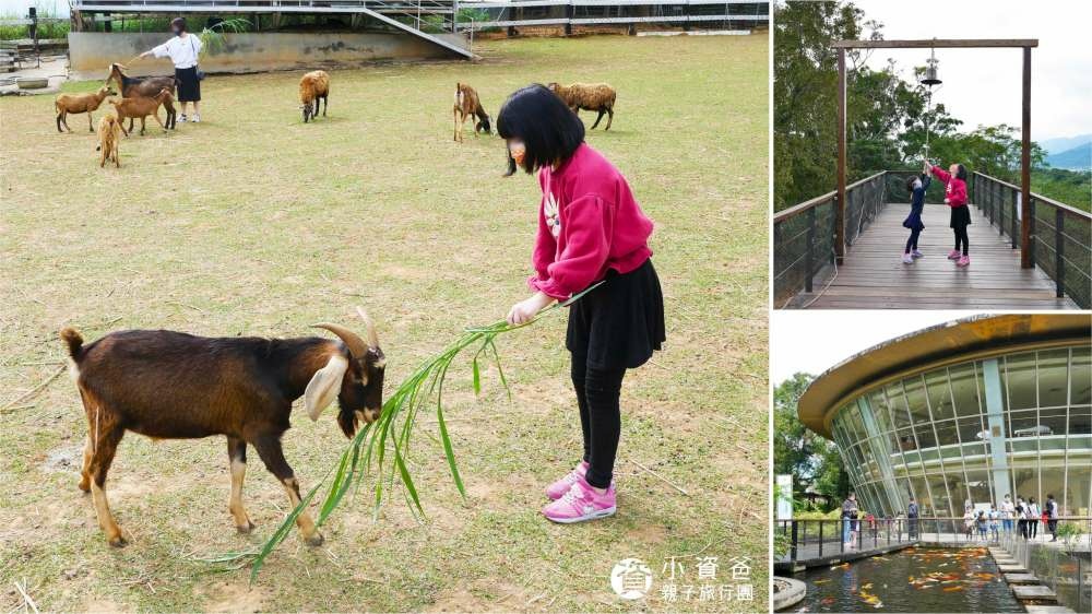 原生應用植物園│台東縣│卑南鄉│小資爸親子旅遊團