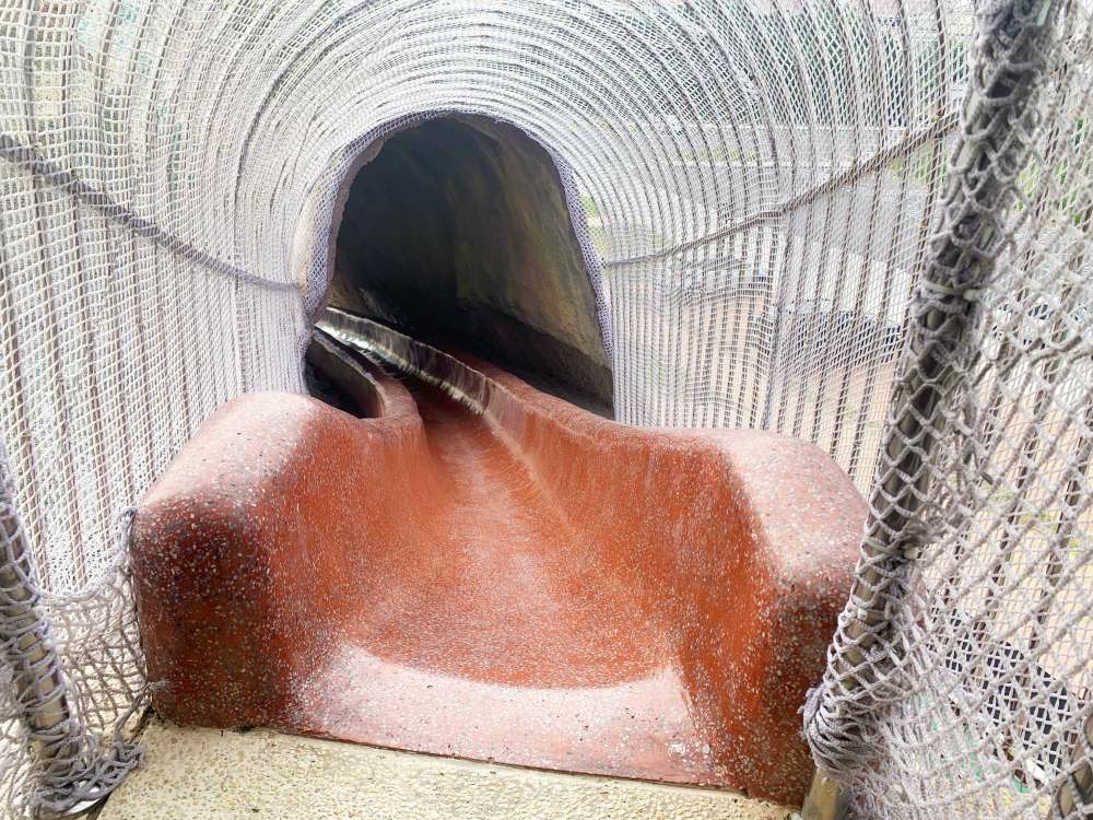獅山多功能運動公園│苗栗縣│竹南鎮│小資爸親子旅遊團