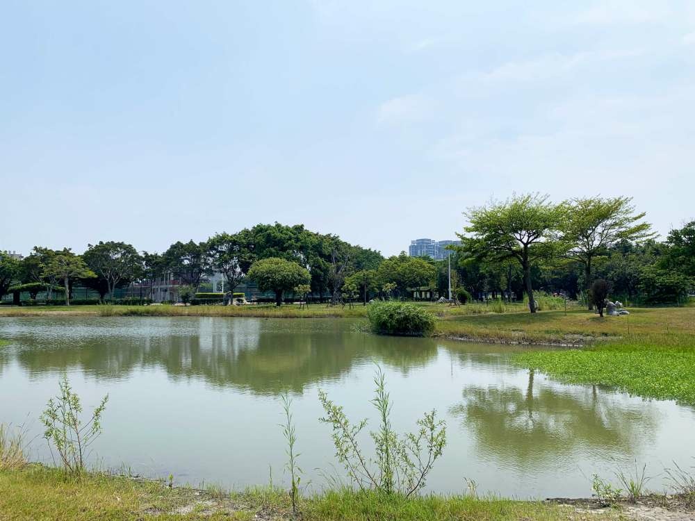 竹南頭份運動公園│苗栗縣│竹南鎮│小資爸親子旅遊團