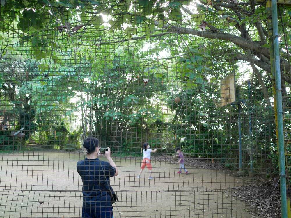 圓通寺步道_國旗嶺步道_36-1000.jpg