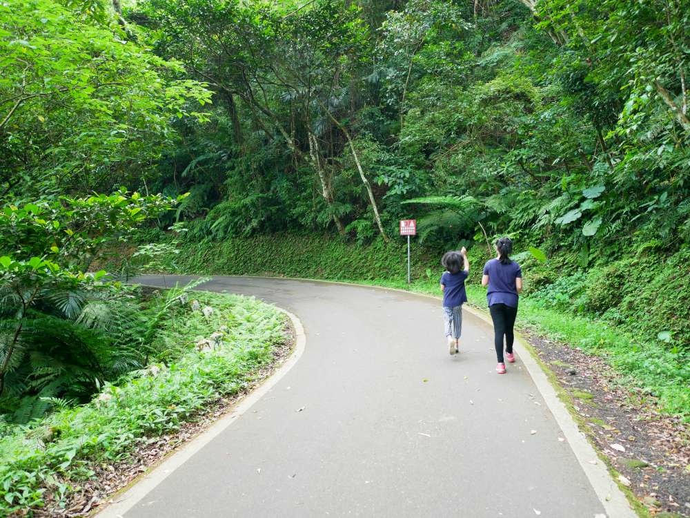 百吉林蔭步道│石龜坑古道│桃園市│大溪區│小資爸親子旅遊團