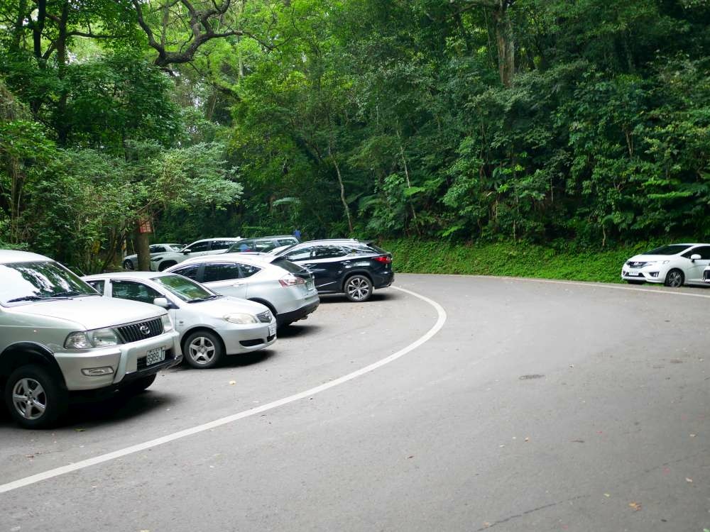 百吉林蔭步道│石龜坑古道│桃園市│大溪區│小資爸親子旅遊團