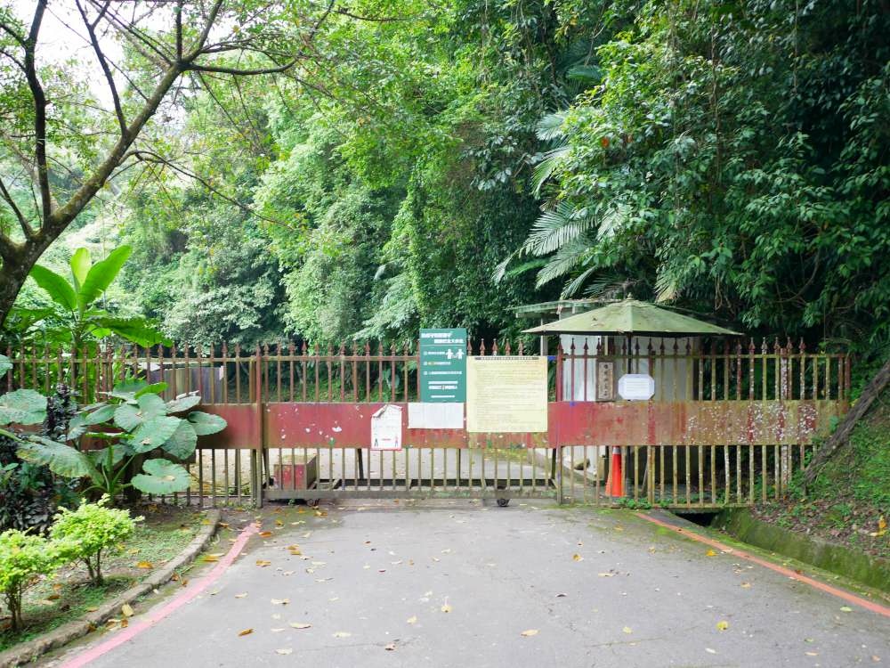 百吉林蔭步道│石龜坑古道│桃園市│大溪區│小資爸親子旅遊團