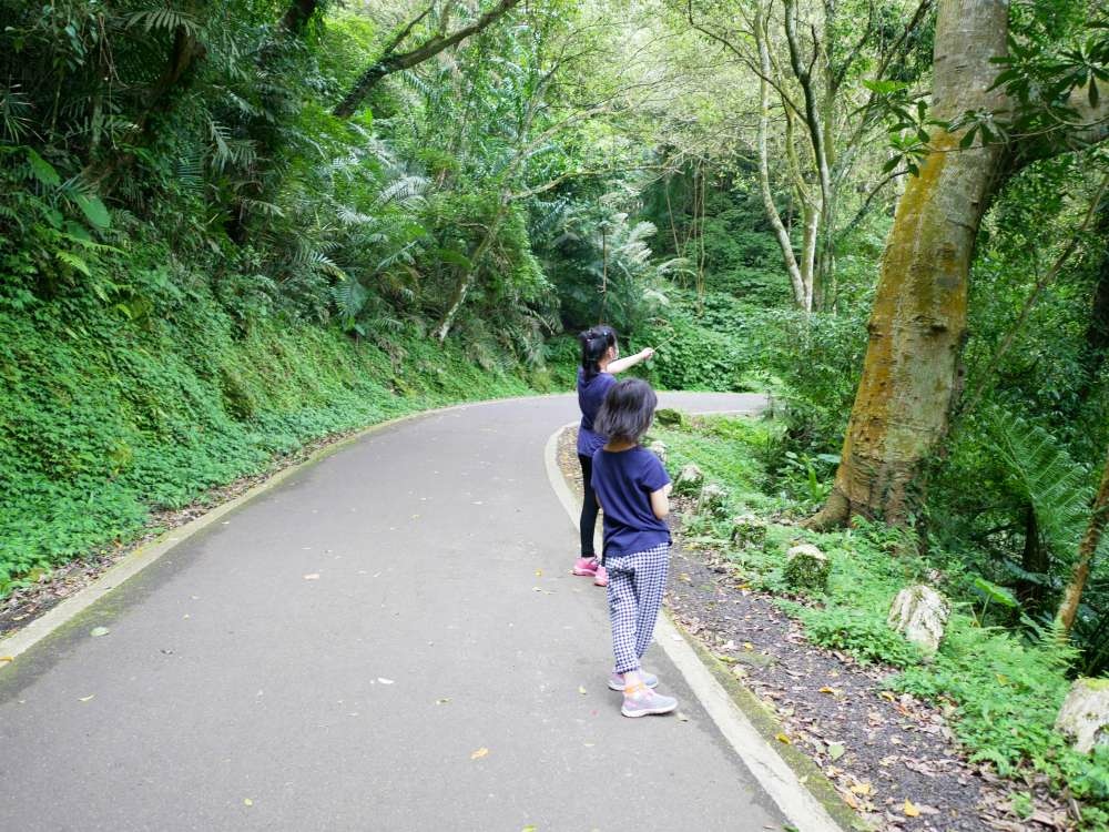 百吉林蔭步道│石龜坑古道│桃園市│大溪區│小資爸親子旅遊團