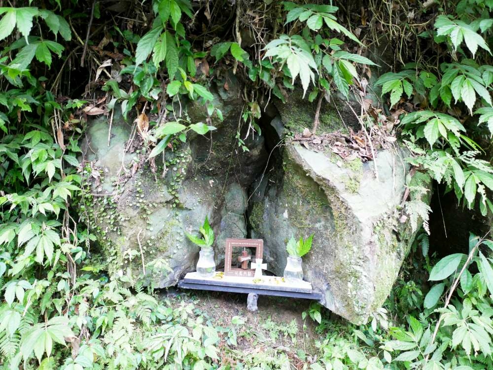 百吉林蔭步道│石龜坑古道│桃園市│大溪區│小資爸親子旅遊團