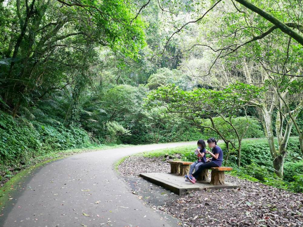 百吉林蔭步道│石龜坑古道│桃園市│大溪區│小資爸親子旅遊團