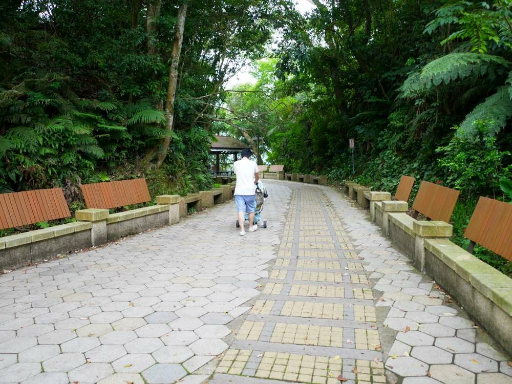 百吉林蔭步道│石龜坑古道│桃園市│大溪區│小資爸親子旅遊團