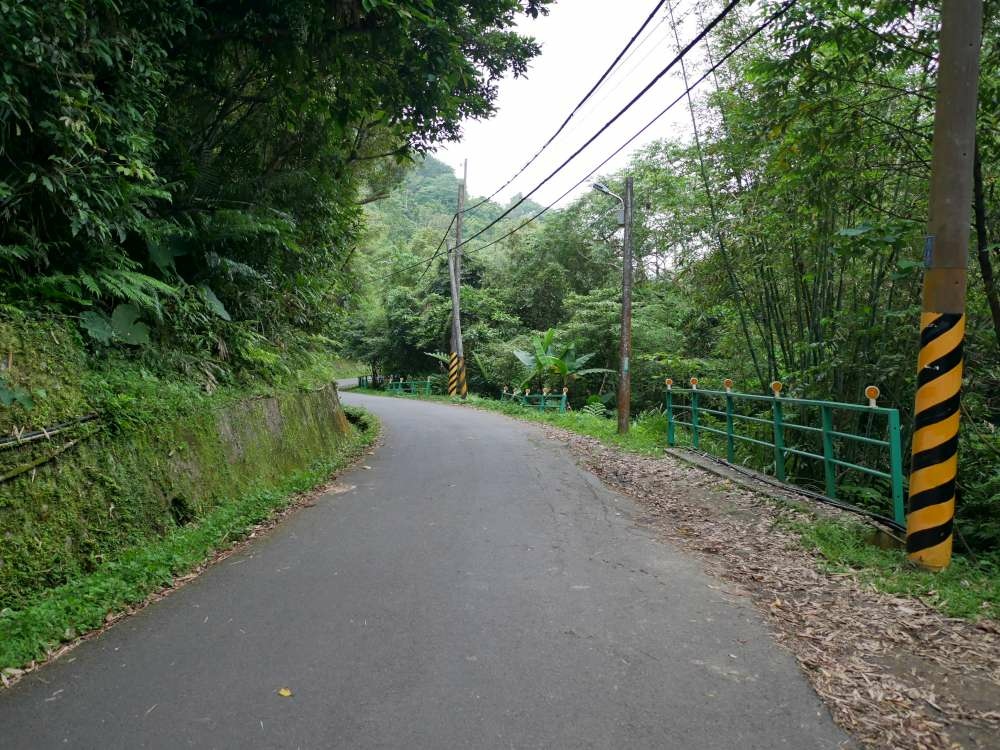 百吉林蔭步道│石龜坑古道│桃園市│大溪區│小資爸親子旅遊團