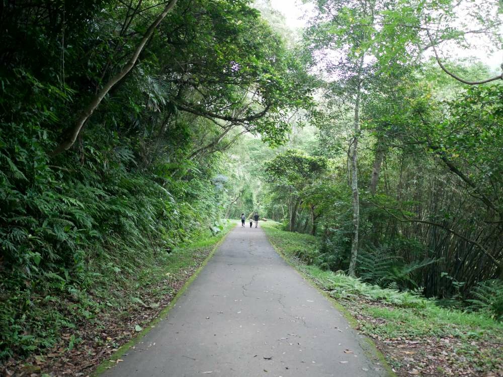 百吉林蔭步道│石龜坑古道│桃園市│大溪區│小資爸親子旅遊團