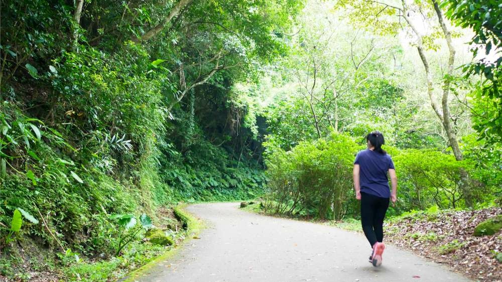 百吉林蔭步道│石龜坑古道│桃園市│大溪區│小資爸親子旅遊團