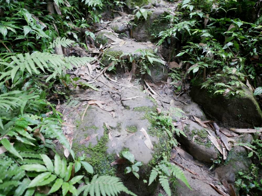 總督府步道_11-1000.jpg 大溪總督府步道│桃園市│大溪區│小資爸親子旅遊團
