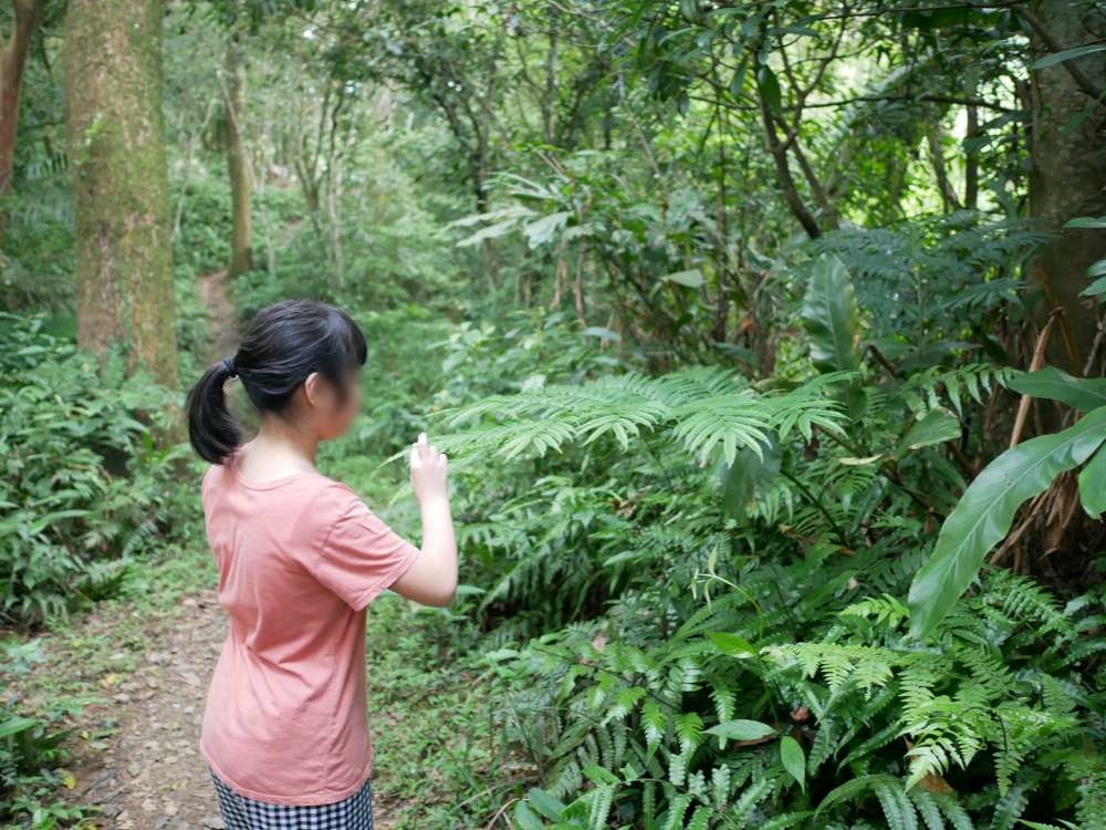 大溪總督府步道│桃園市│大溪區│小資爸親子旅遊團