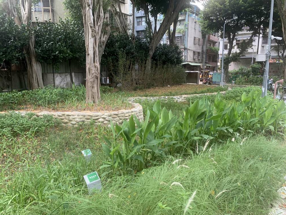 老松公園│台北市│萬華區│小資爸親子旅遊團