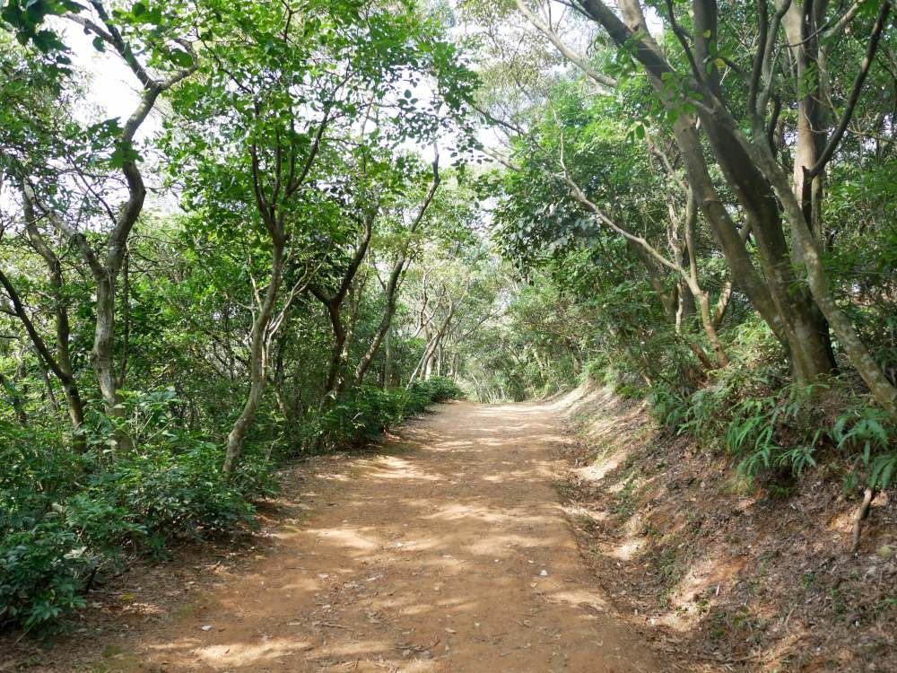 羊稠森林步道│桃園市│蘆竹區│小資爸親子旅遊團