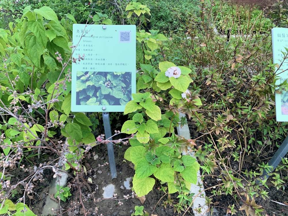 三重神農百草公園｜新北市│三重區│小資爸親子旅遊團