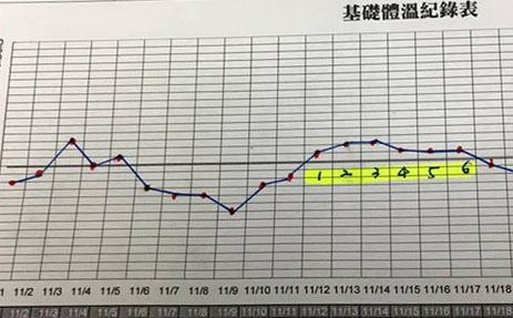 【想好孕】測量基礎體溫－人妻必做的功課！