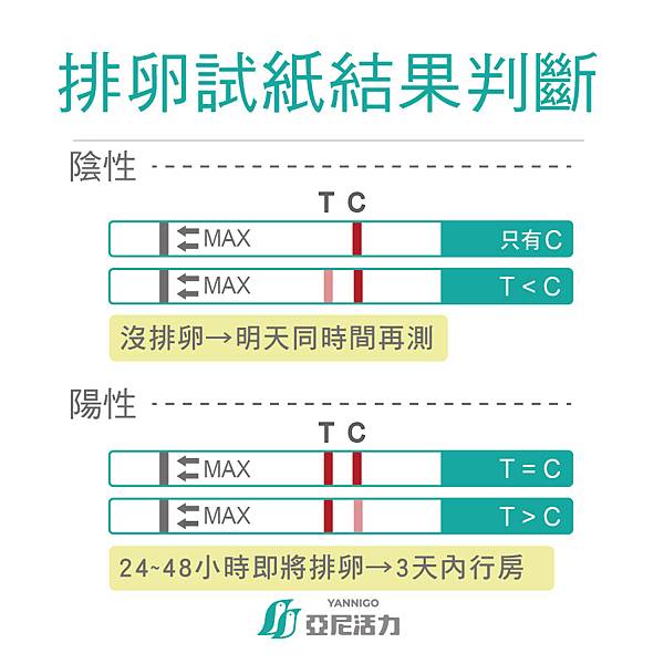 20211006排卵試紙怎麼看_工作區域 1-01.jpg