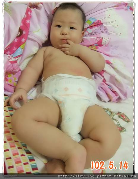 DSCF5600 DSCF5600