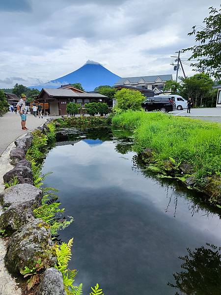 【東京親子自由行】Day-4 富士山包車一日遊(大石公園薰衣